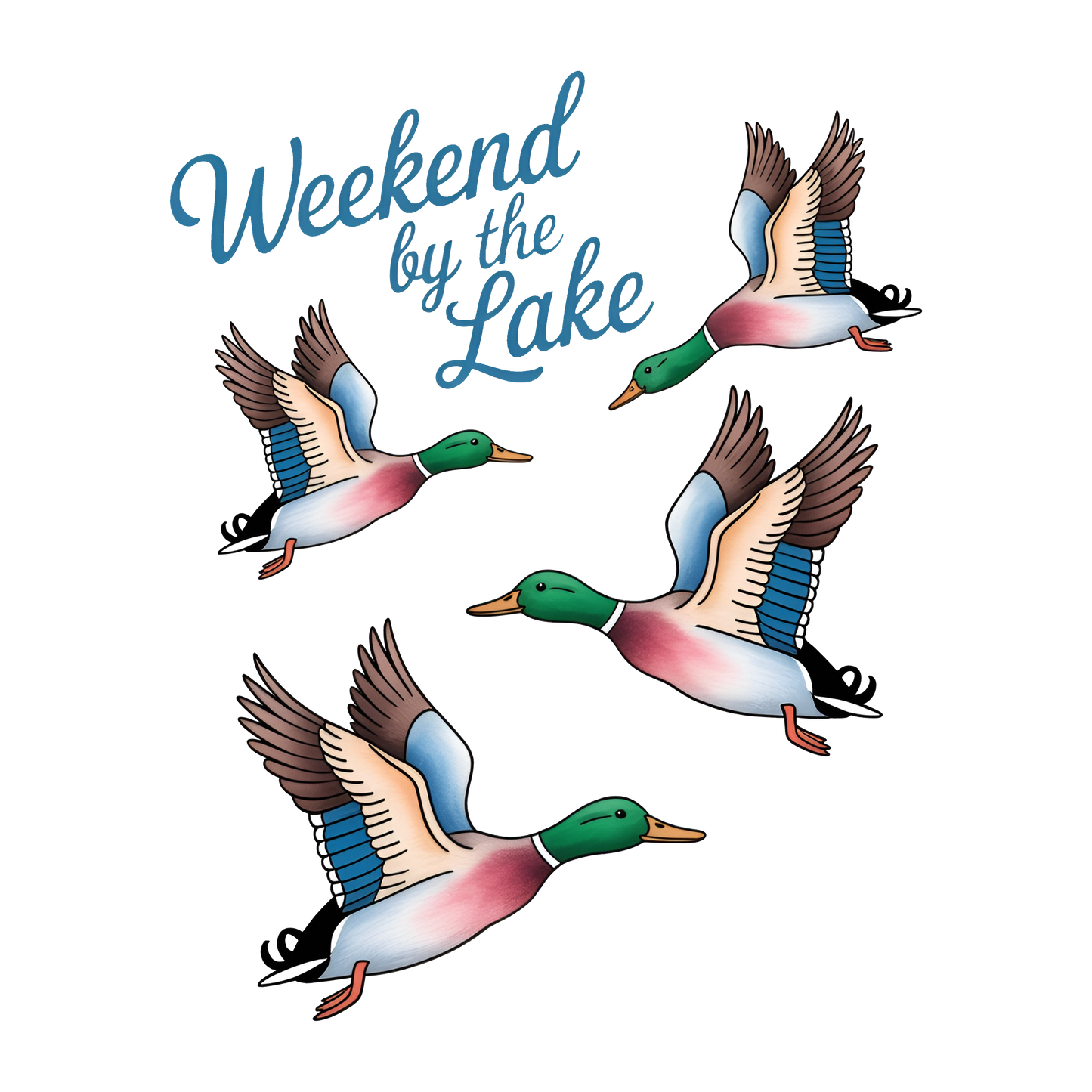 Lake Duck Mallard Summer
