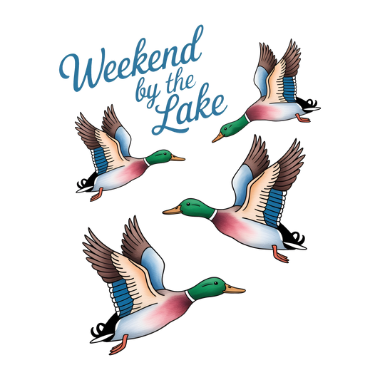 Lake Duck Mallard Summer